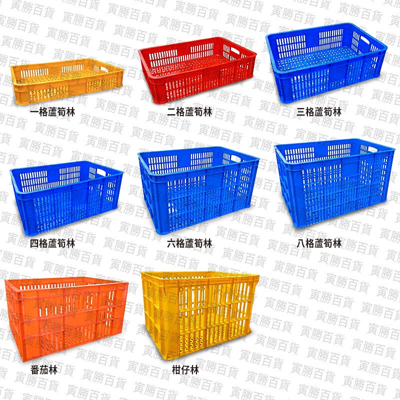 一格蘆筍林